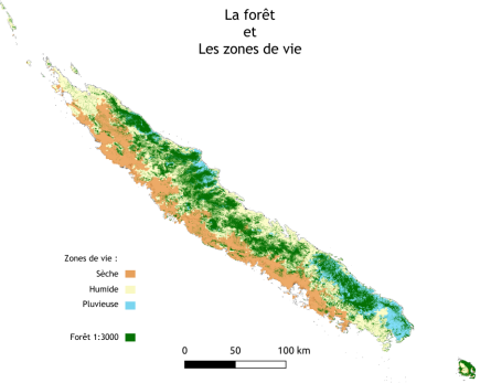 forests5505