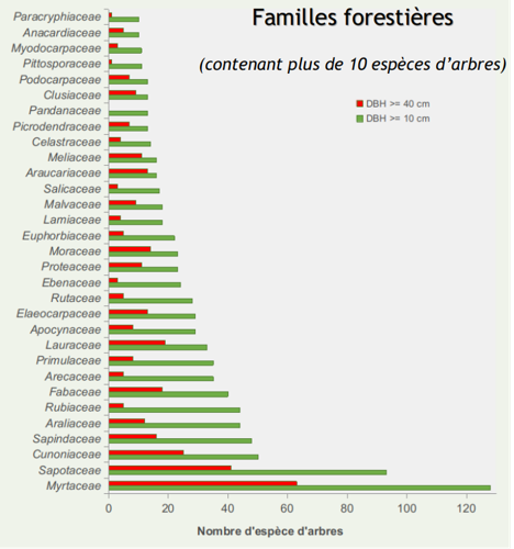 Graph Image